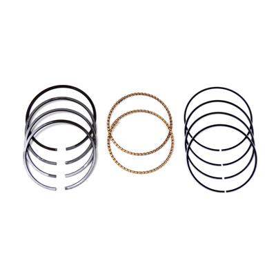 Triumph Piston Rings