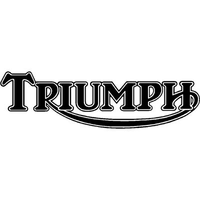 Triumph Seal Kits